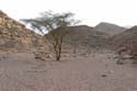 Slaapplaats Wadi Maghara