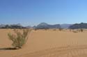 Wadi Rum woestijn