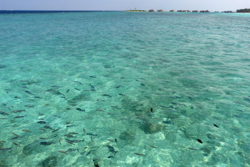 maldiven7.jpg