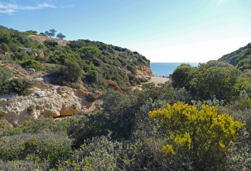 praiadobarranco.jpg