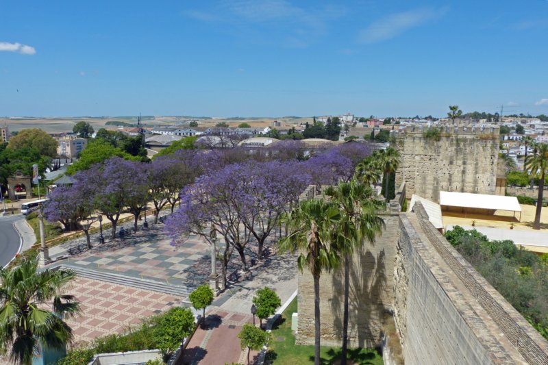 alcazarinjerez2.jpg