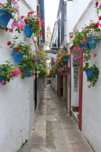 callejadelasfloresincordoba.jpg