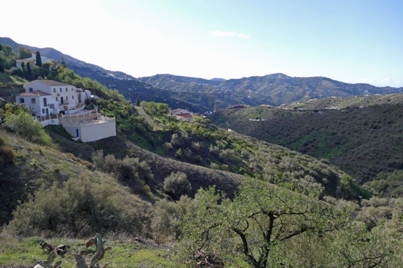 canillasdealbaidasayalonga.jpg