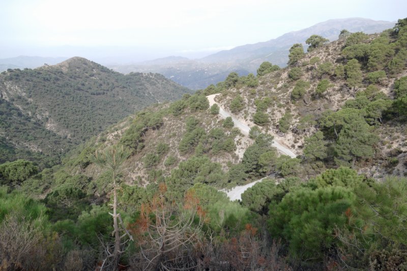 sierrasdetejedaalmijarayalhama7.jpg