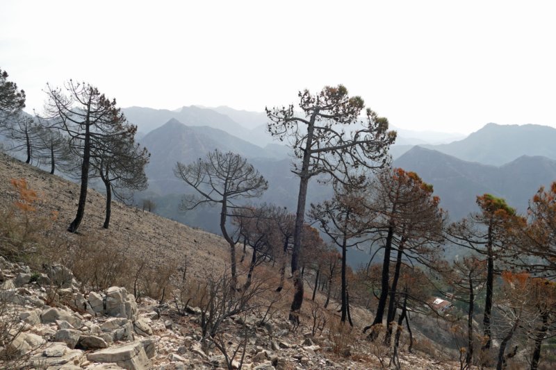 sierrasdetejedaalmijarayalhama8.jpg