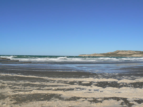 P1000657