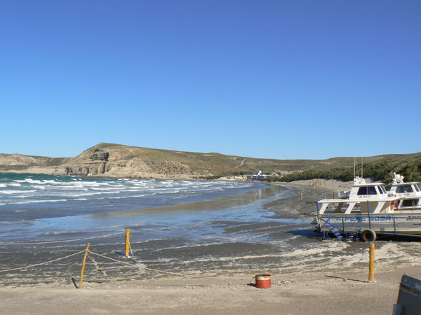P1000658