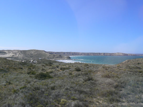 P1000664