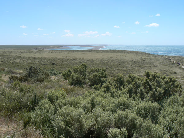 P1000691