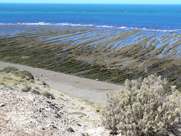 P1000717