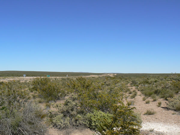 P1000776