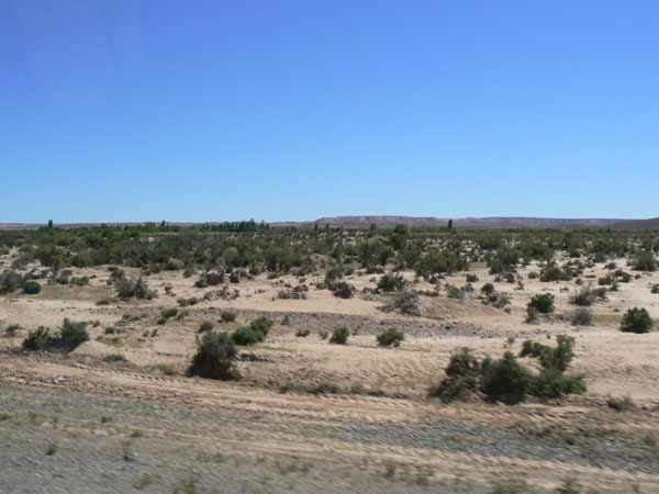 P1000778
