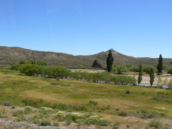 P1000781