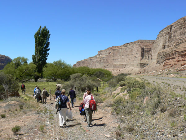 P1000782