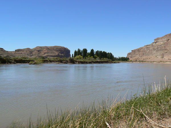 P1000788