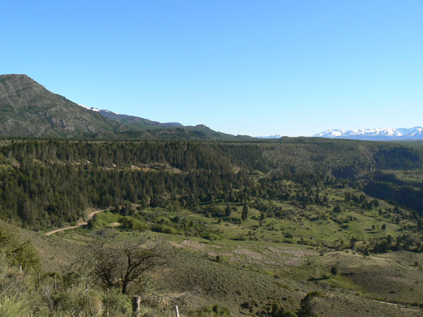 P1000799