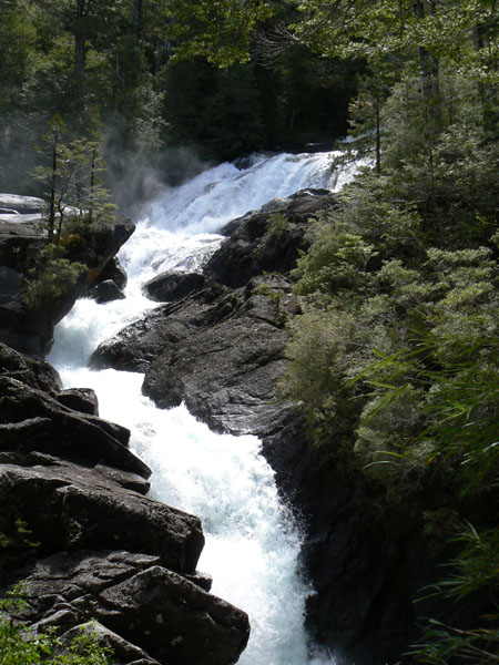 P1000907