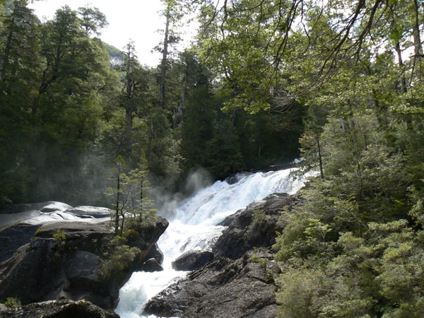 P1000911
