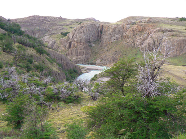 P1000967