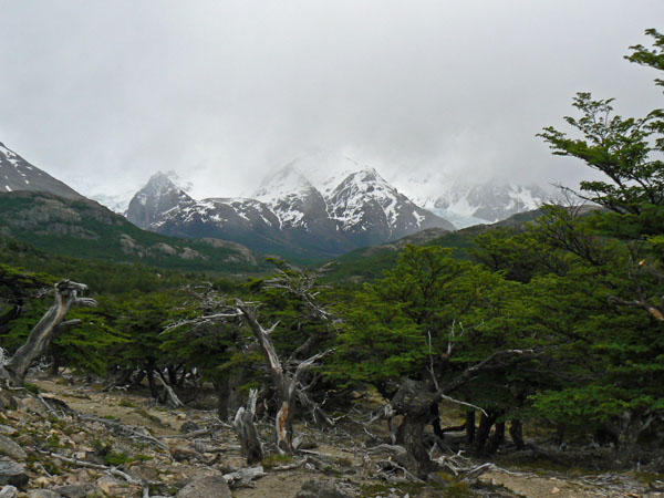P1010056