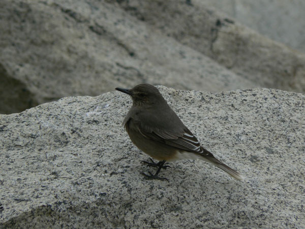 P1010287
