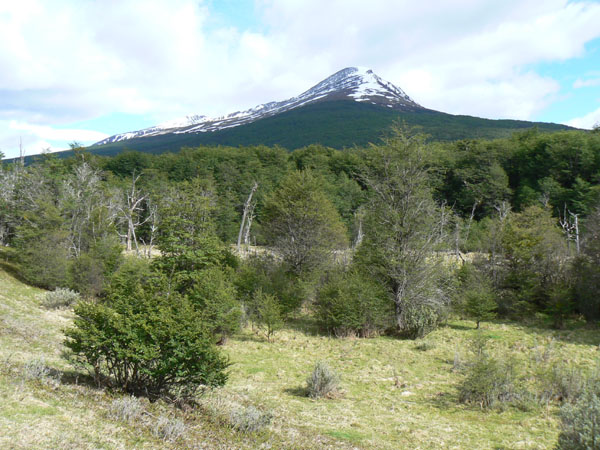 P1010343