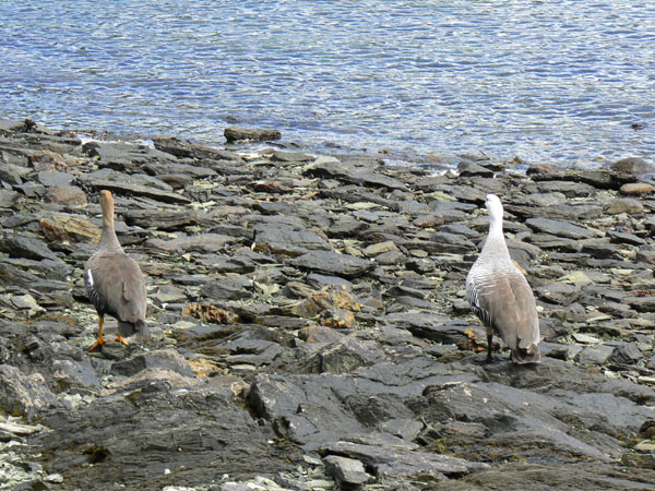 P1010383