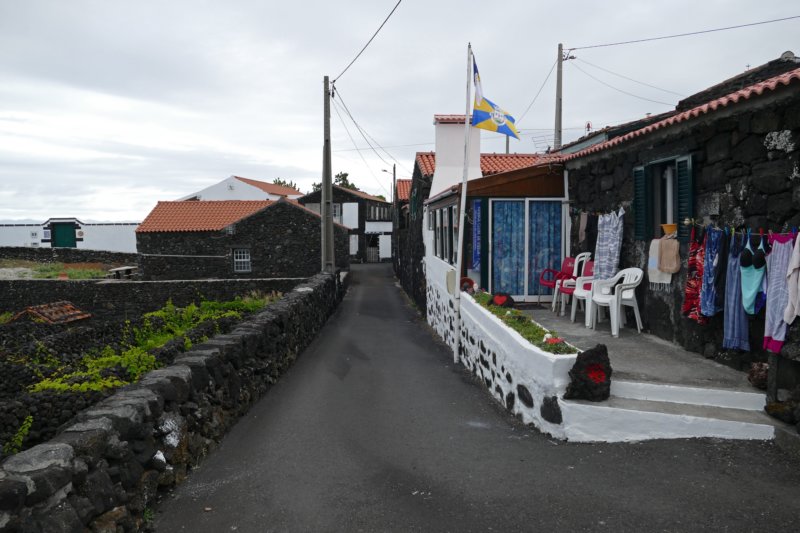 picolajido.jpg