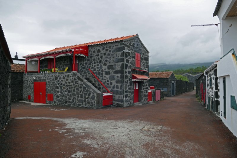 picolajido3.jpg