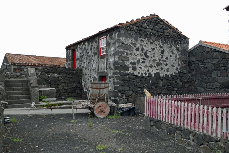 picolajido4.jpg