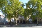 novisadsynagoge2_small.jpg