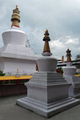 dodrulchorten3.jpg