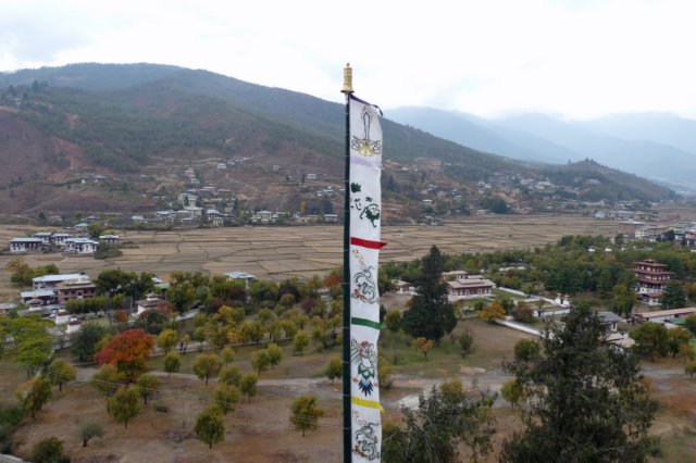 paro3.jpg