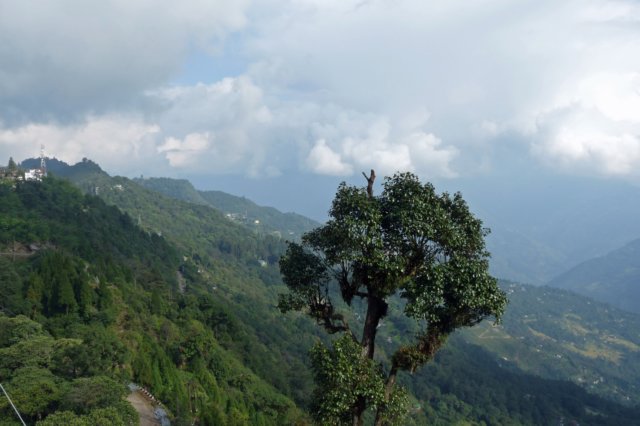 pelling.jpg