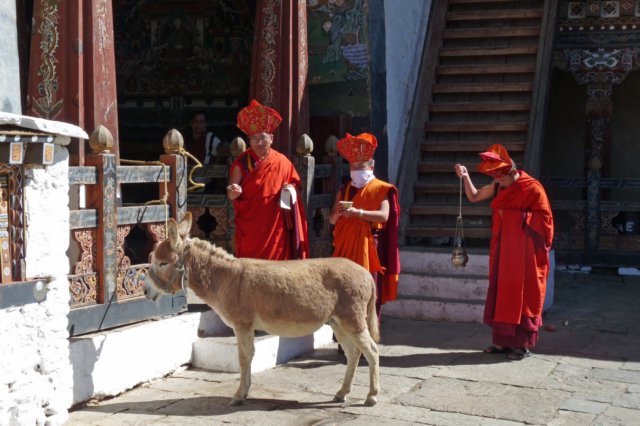 trongsadzong3.jpg