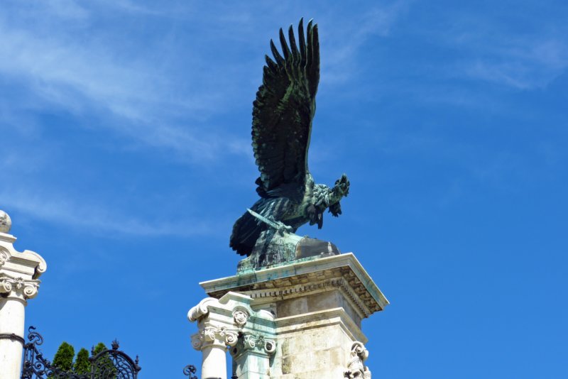turulvogel.jpg