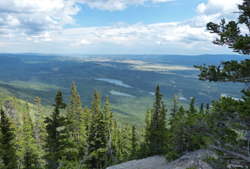 banffmountyamnuska6.jpg