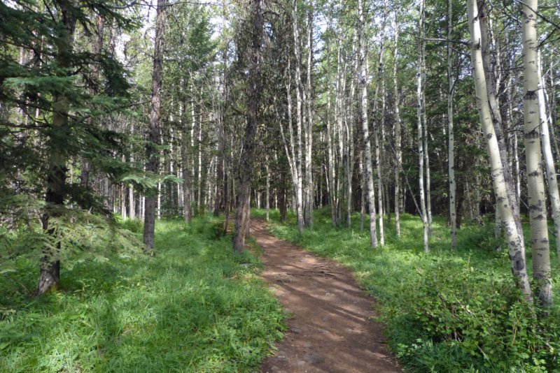 banfftrollfallstrail.jpg