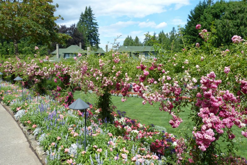 butchartgardens.jpg