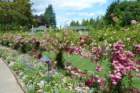 butchartgardens_small.jpg