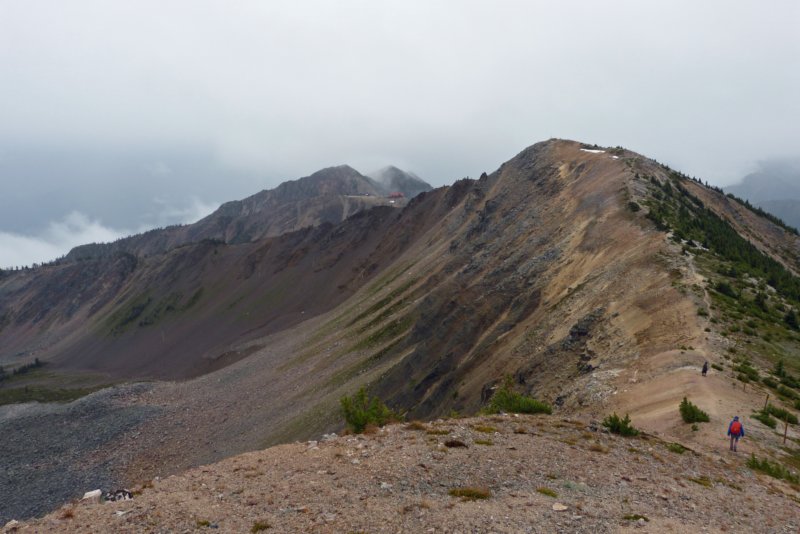 goldendogtoothridgetrail2.jpg