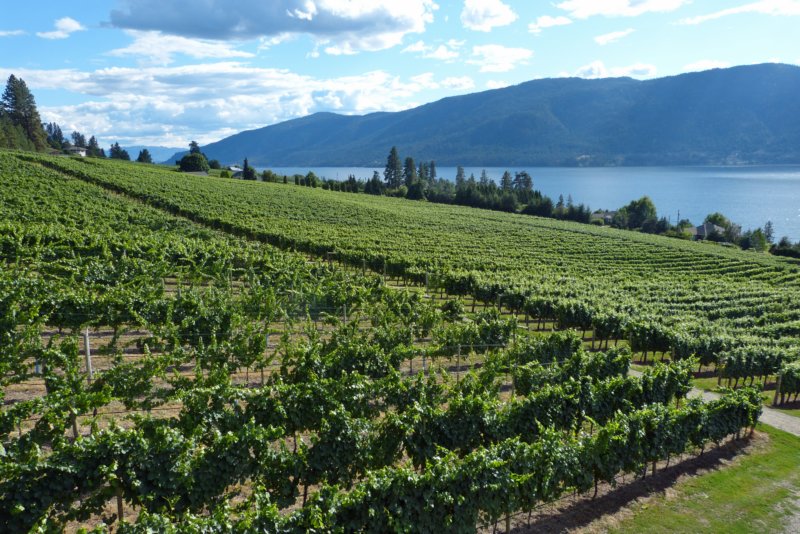 graymonkestatewinery.jpg