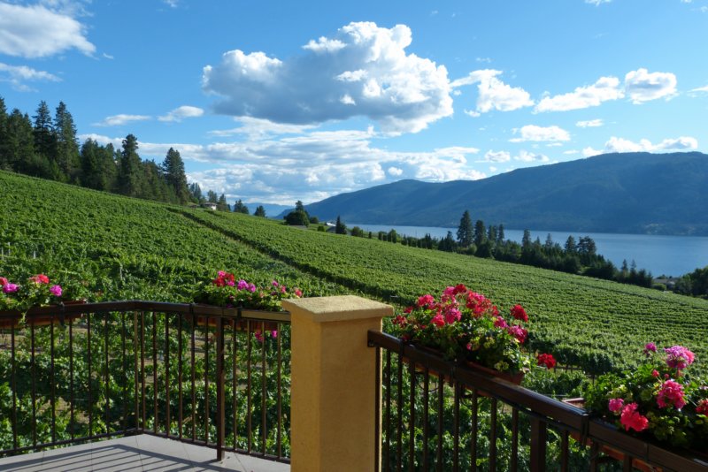 graymonkestatewinery2.jpg