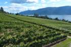 graymonkestatewinery_small.jpg