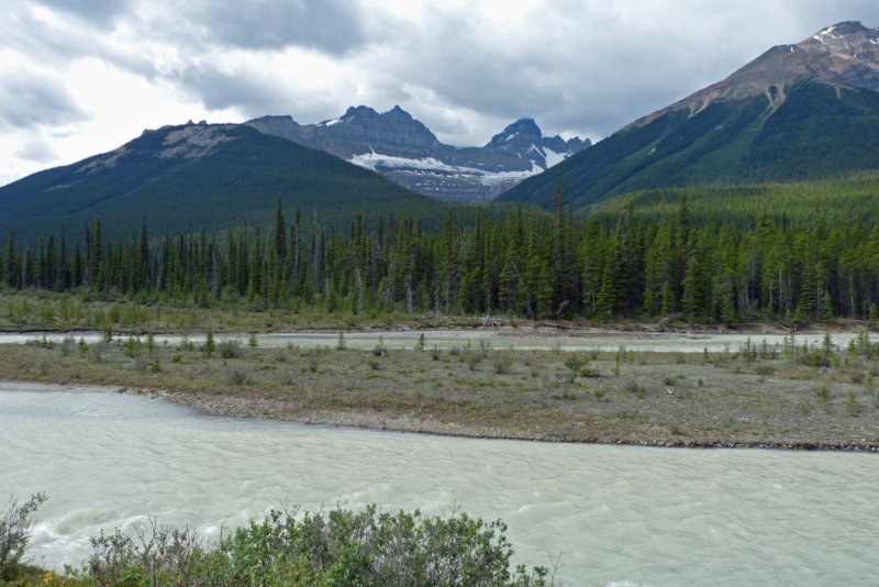 icefieldsparkway2.jpg