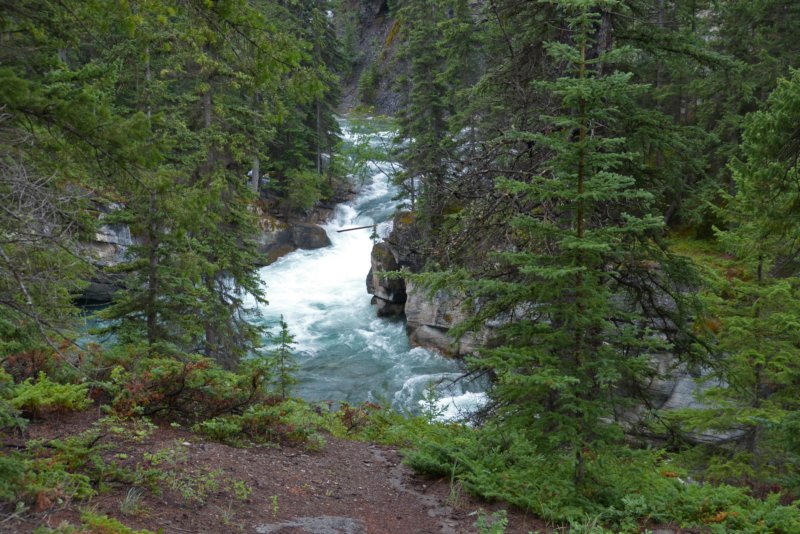 jaspermalignecanyon2.jpg