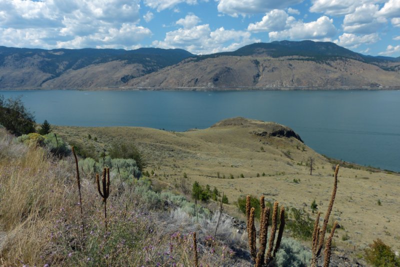 kamloopslake.jpg