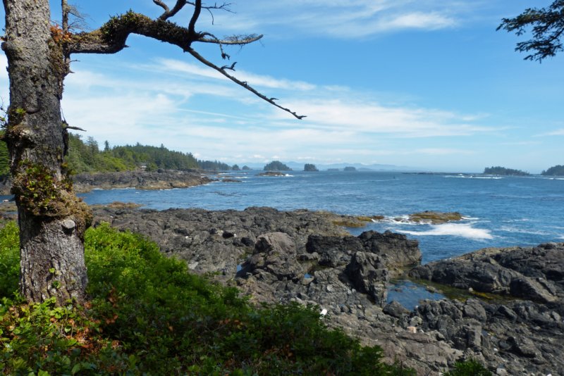 pacificrimnationalpark.jpg