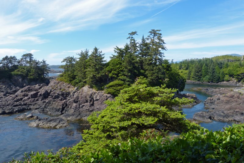 pacificrimnationalpark4.jpg