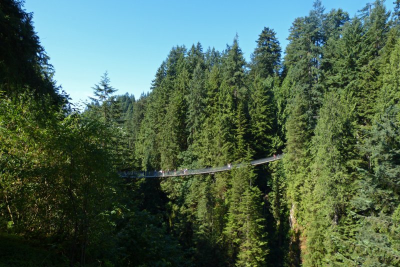 vancouvercapilanosuspensionbridgepark3.jpg